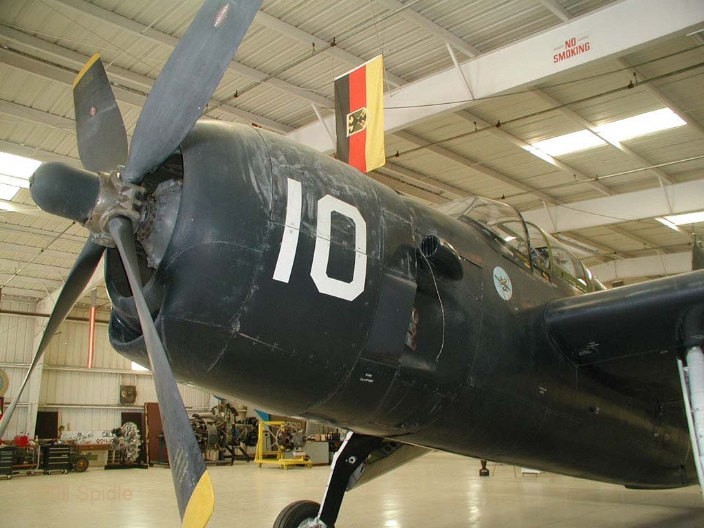 3191.jpg