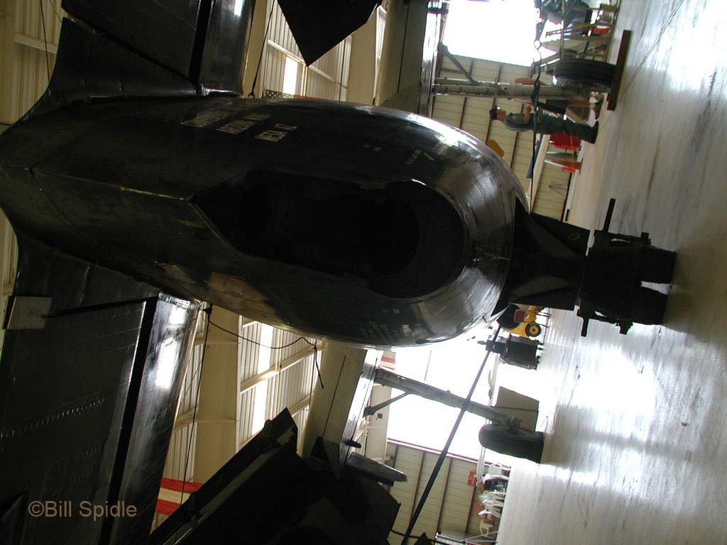 3235.jpg