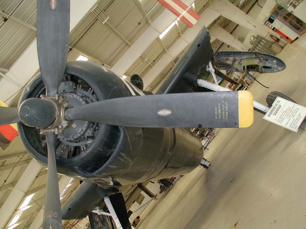 3252.jpg