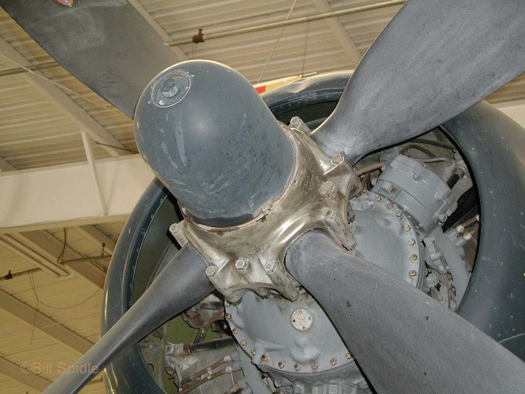 3253.jpg