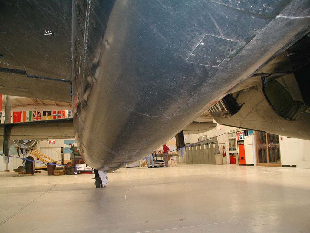 3288.jpg