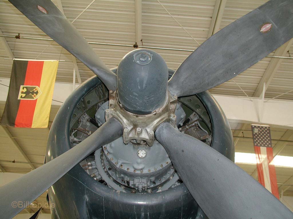 3296.jpg