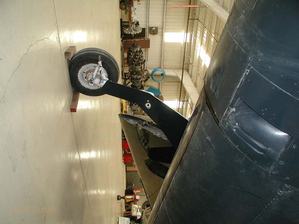 3298.jpg