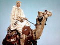 Omar-Sharif-on-a-camel