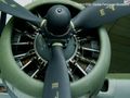 B-17_005.jpg