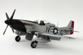 P-51 D Mustang 8th Air Force 1/48