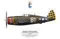 P 47 D Thunderbolt "Razor-Back"