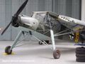 Storch 003