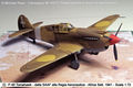 Campagna M+ 2013 - Prede belliche e mezzi di requisizione - P-40 Tomahawk
