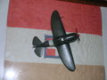 DSCN8053