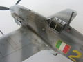 Macchi C.205 ANR 25