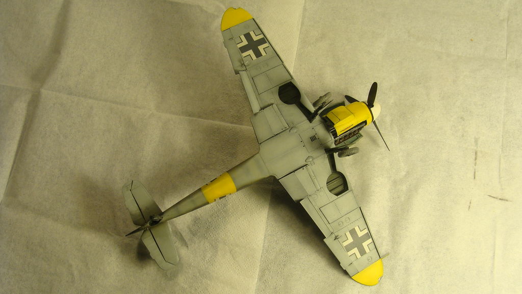 Bf_024