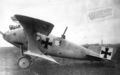 Roland C.II Foto 020