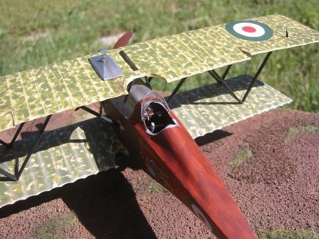 SVA (75)
