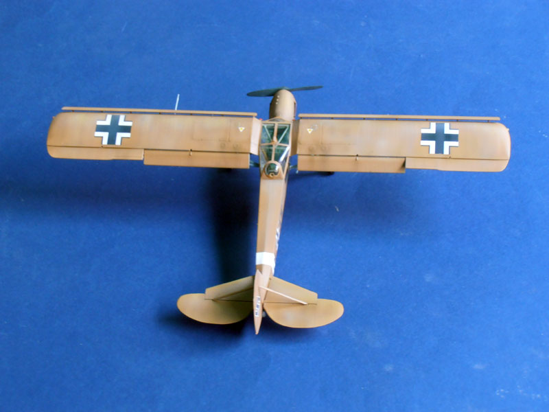 storch (48)