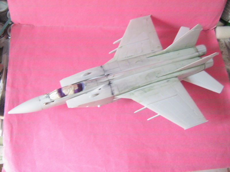 Mig 31_22