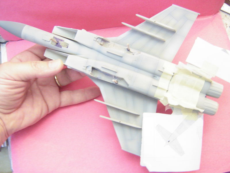 Mig 31_24
