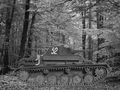 T26bn1