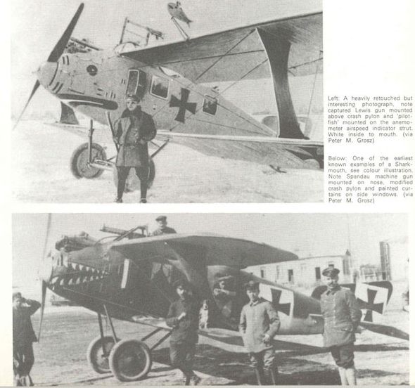 C.II von Schliech 3