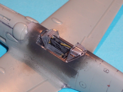 husky_109_G6_0008.jpg