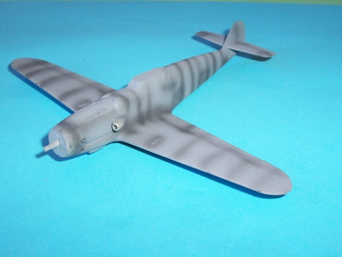 husky_109_G6_0012.jpg