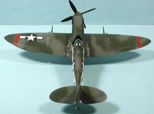 husky_colibr_0011.jpg