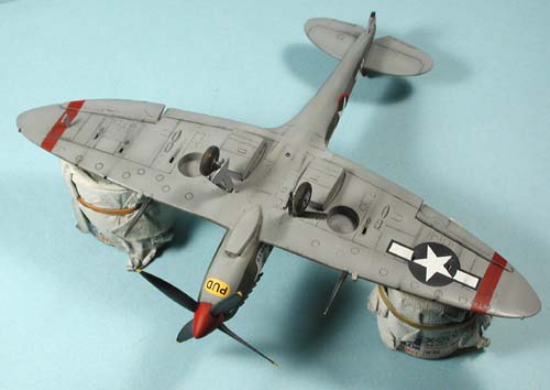 husky_colibr_0014.jpg