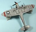 husky_colibr_0015.jpg