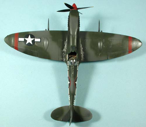 husky_colibr_0016.jpg