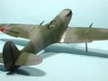 husky_colibr_0017.jpg