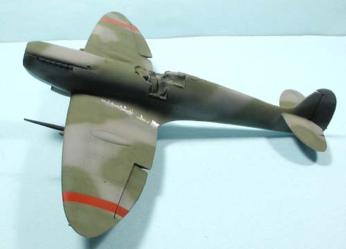 husky_colibr_0018.jpg