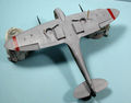 husky_colibr_0019.jpg