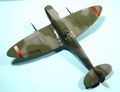 husky_colibr_0020.jpg