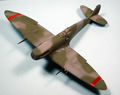 husky_colibr_0021.jpg