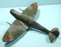 husky_colibr_0022.jpg