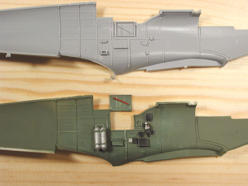 husky_colibr_0003.jpg