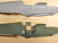 husky_colibr_0003.jpg