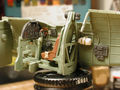 husky_colibr_0006.jpg