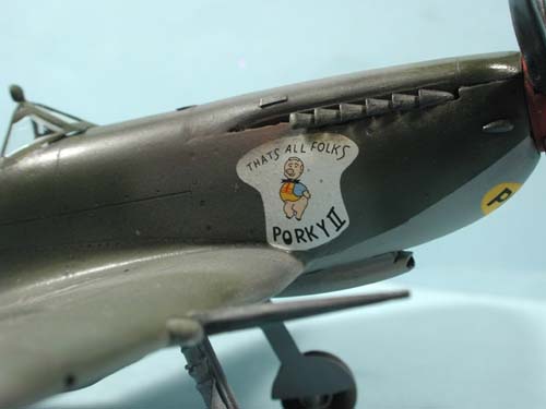 husky_colibr_0010.jpg