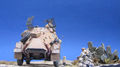 SdKfz222-g-0008.jpg