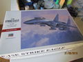 f 15 e hasegawa 1.48