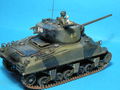 M4A1 76 (W) 009