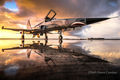F-5F Tiger II VFC-111