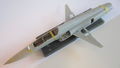 F-5F Tiger II VFC-111 09