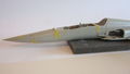 F-5F Tiger II VFC-111 10
