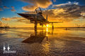 F-5E VFC-111 03