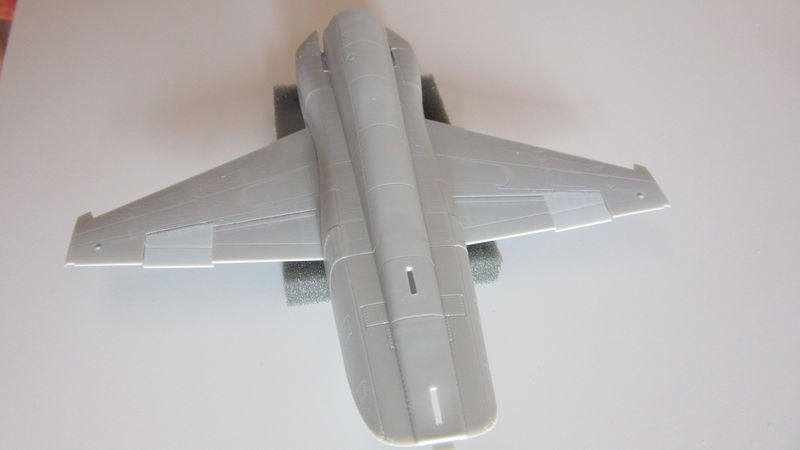 F-5F Tiger II VFC-111 20