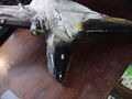 DSC00078