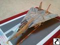pony10 - Grumman F-14A Tomcat