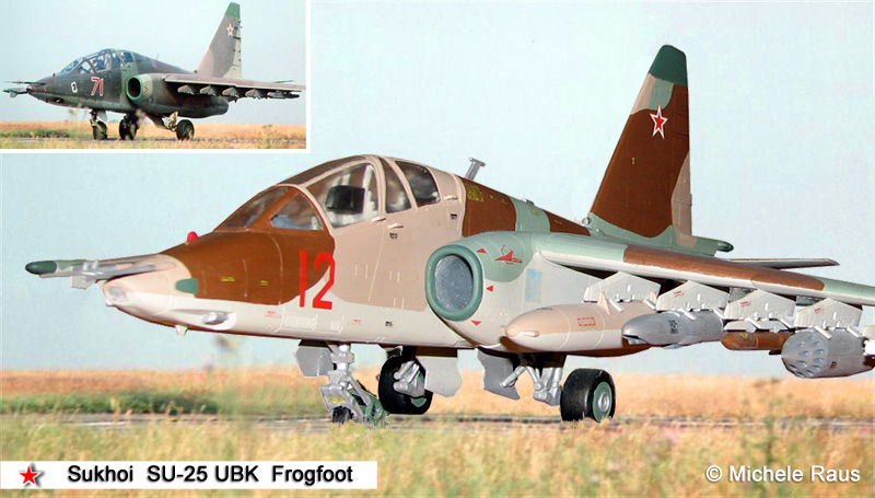 Su-25_ambientato
